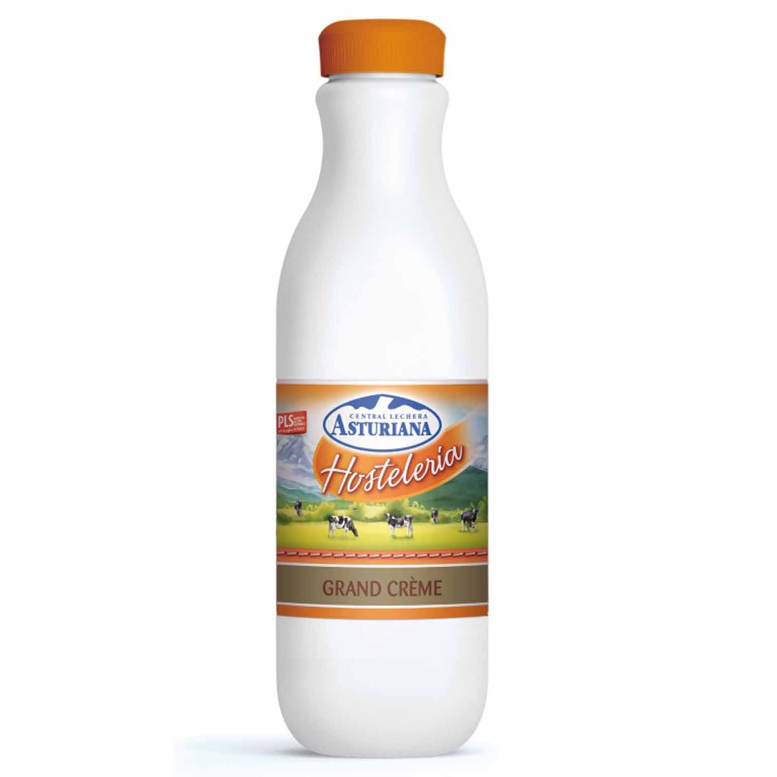 LECHE HOSTELERIA GRAND CREME 1,5L       
