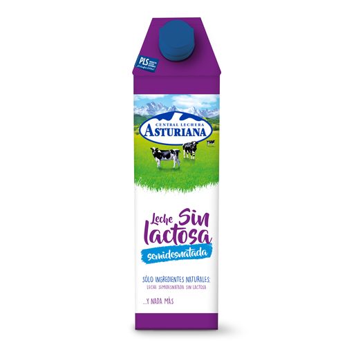 LECHE SIN LACTOSA SEMI.TGA 1L.          