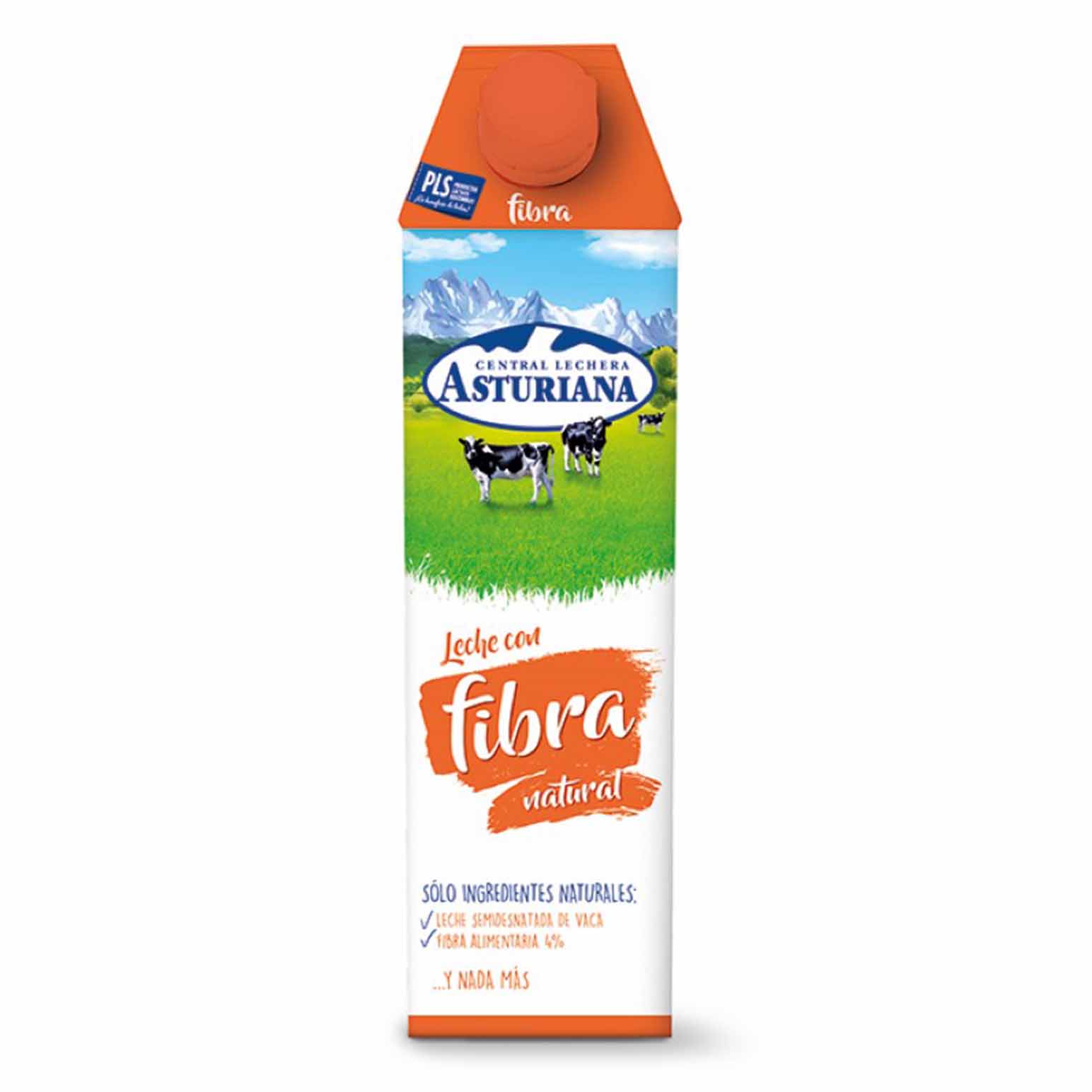 LECHE FIBRA 1L. TGA*6                   