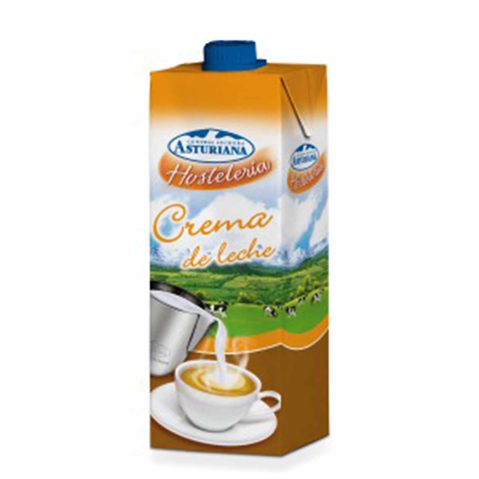 CREMA DE LECHE 1L. P*6                  