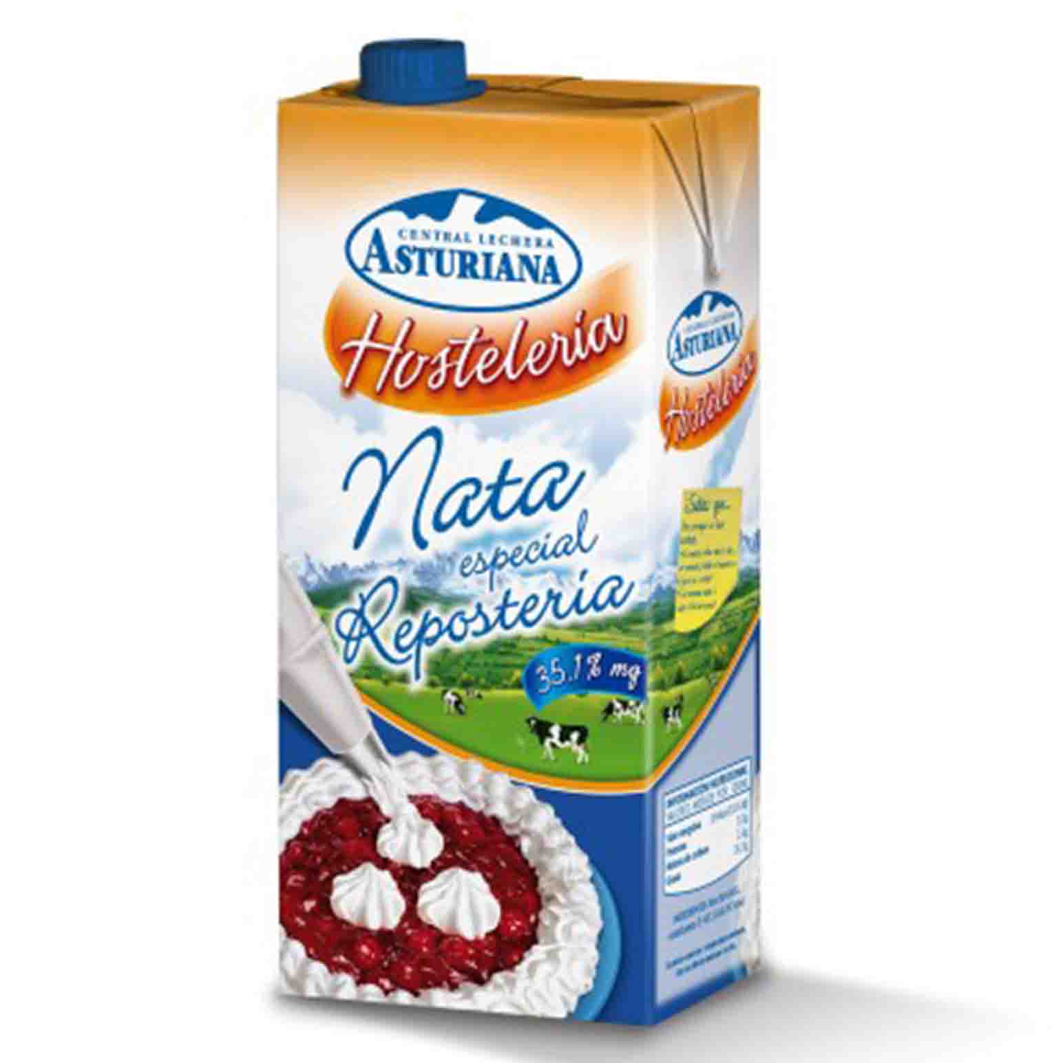 NATA ESPECIAL REPOSTERIA 1L.            