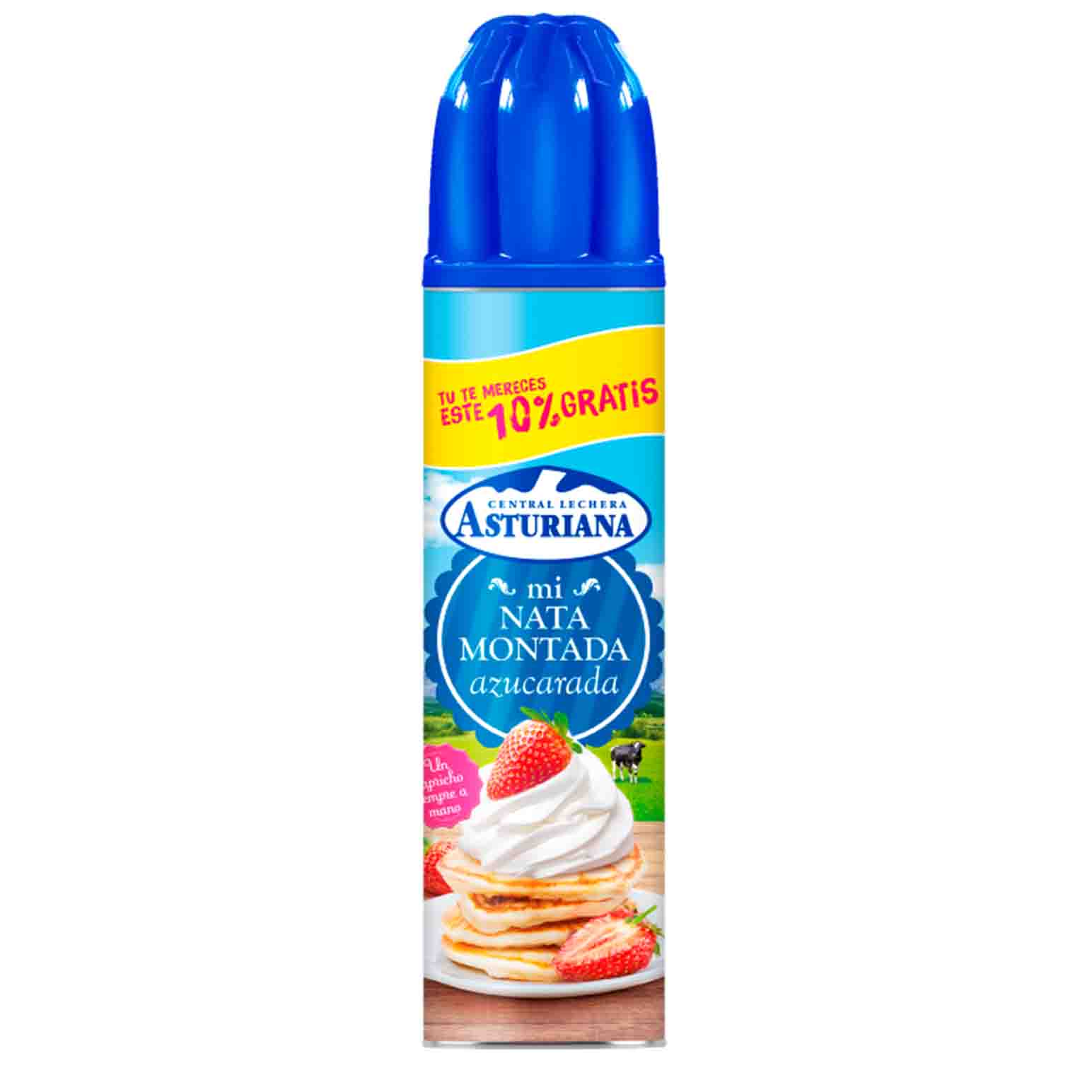 NATA SPRAY 250CC+10% PROMOCION          