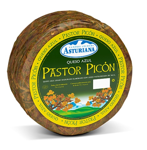 QUESO AZUL PASTOR PICON                 