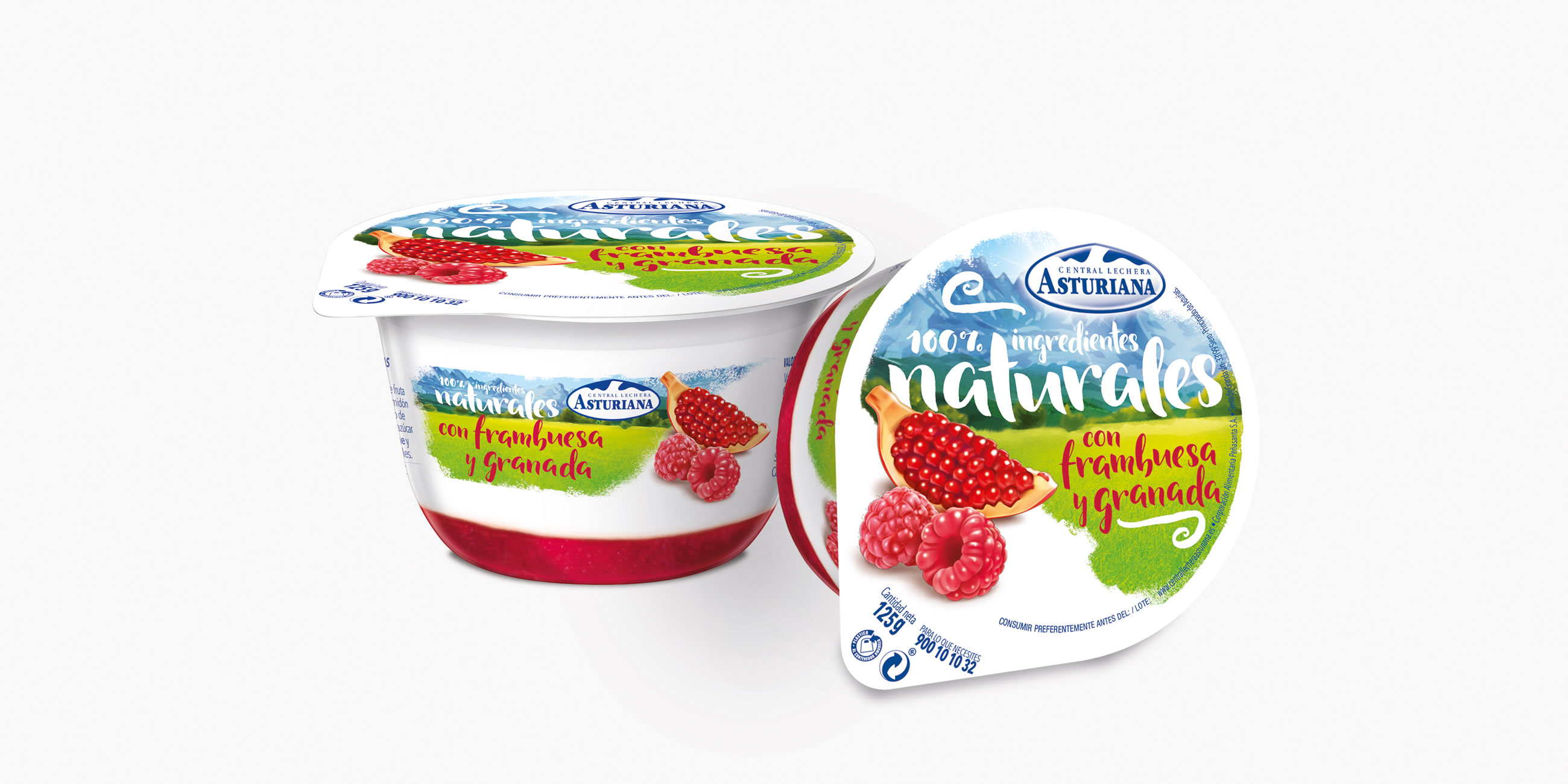 YOGUR CON FRAMB/GRANADA 125GR           