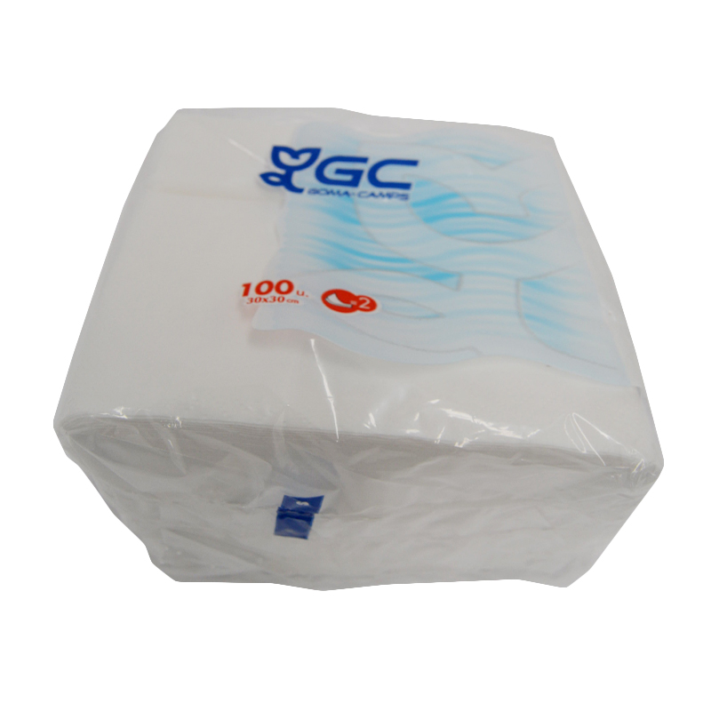 SERVILLETAS 2CAPAS 30X30 CAJA 32X100SERV