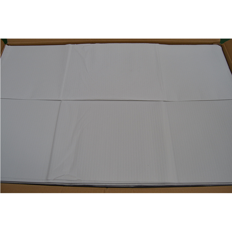 MANTEL 100X120  CAJA 500 HOJAS          